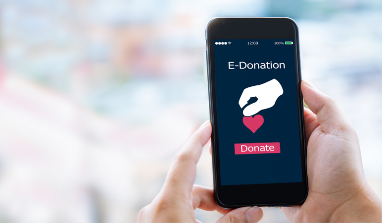 E-Donation and Fundraising Program